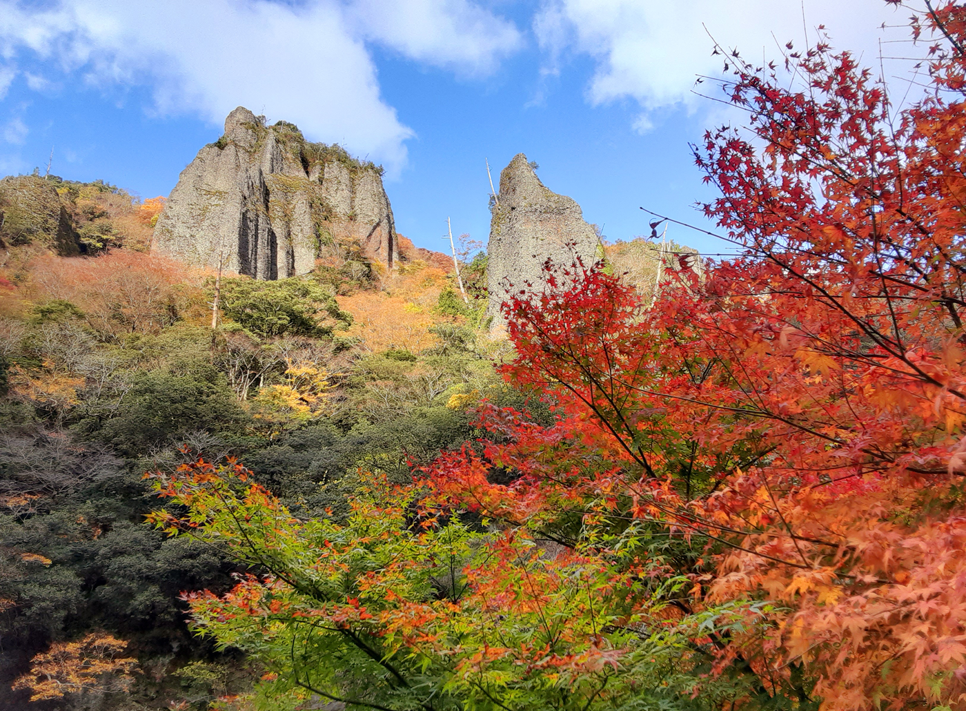 紅葉