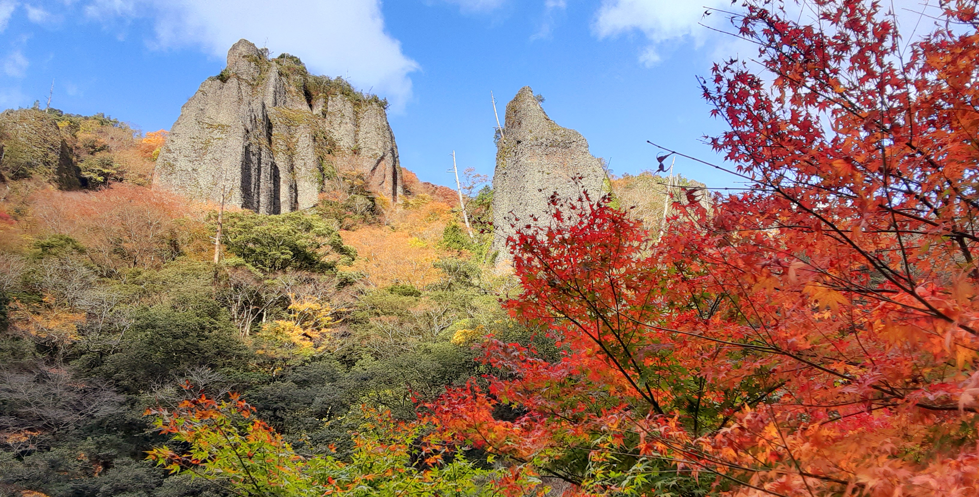 紅葉